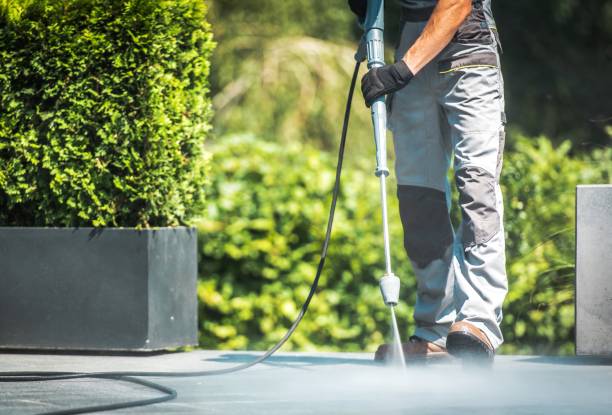 Best Dumpster Area Cleaning  in Linden, AL