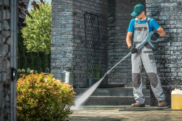Best Soft Washing  in Linden, AL