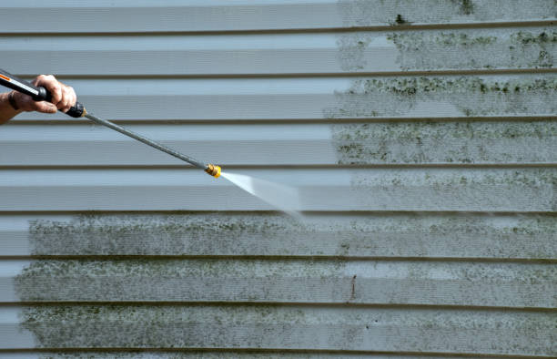 Best Fence Cleaning  in Linden, AL